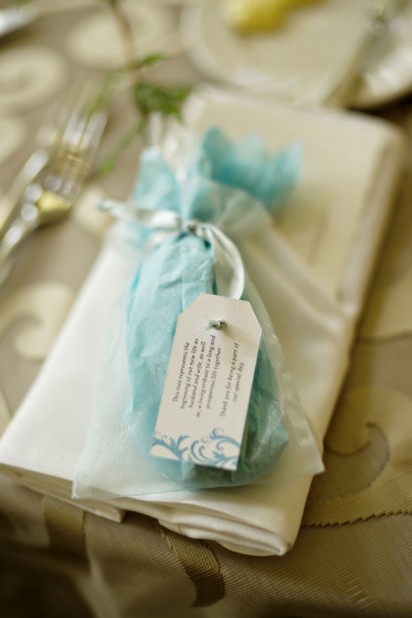 Wedding Reception DecorTurquoise Ribbon on Napkin